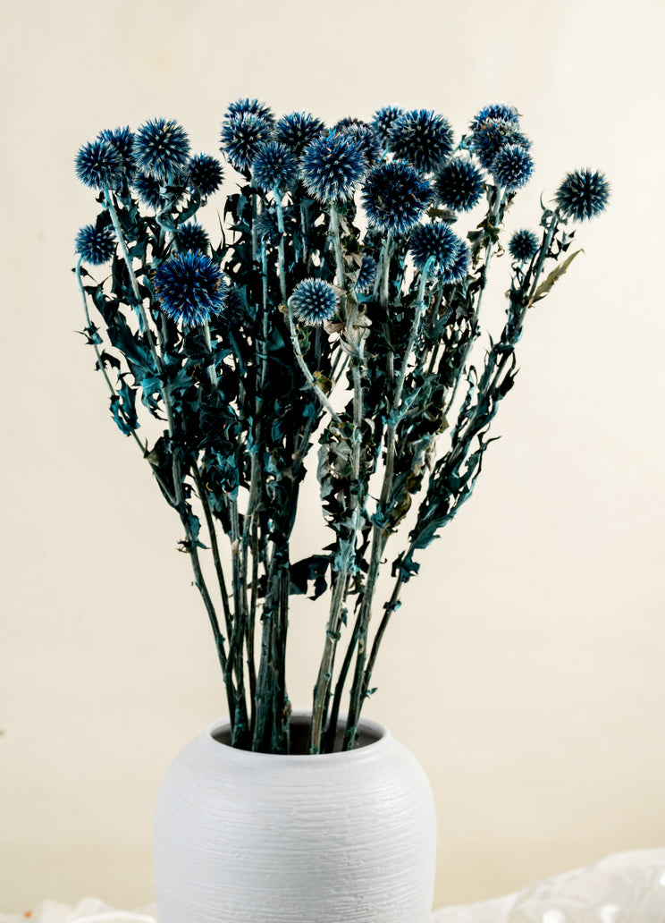 Dried Echinops Balls | Dried Echinops Globe Thistle | Preserved Nature Globe Thistle |Dusty Blue Flowers arrangement |Home | Wedding Decor