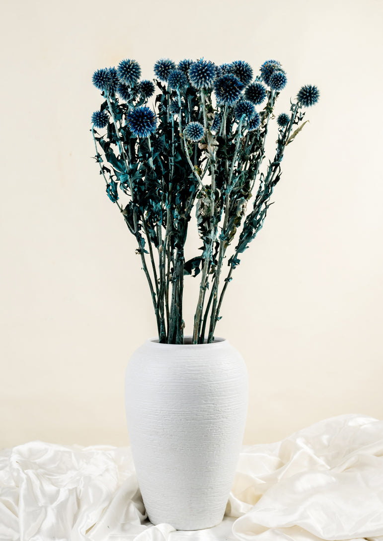 Dried Echinops Balls | Dried Echinops Globe Thistle | Preserved Nature Globe Thistle |Dusty Blue Flowers arrangement |Home | Wedding Decor