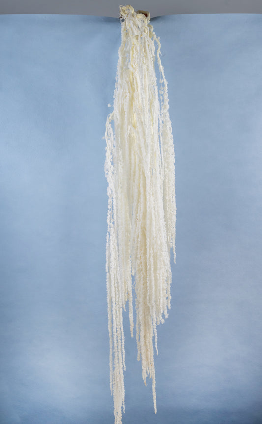 Preserved Amaranthus | Dried Hanging Amaranthus | Dry Florals | Flower Arrangement | Wedding Flower | Home Decor