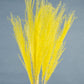 Dried Pampas Grass | Dried Reed Grass | Horsetail Whisk | Dry Florals | Flower Arrangement | Wedding Flower | Home Decor