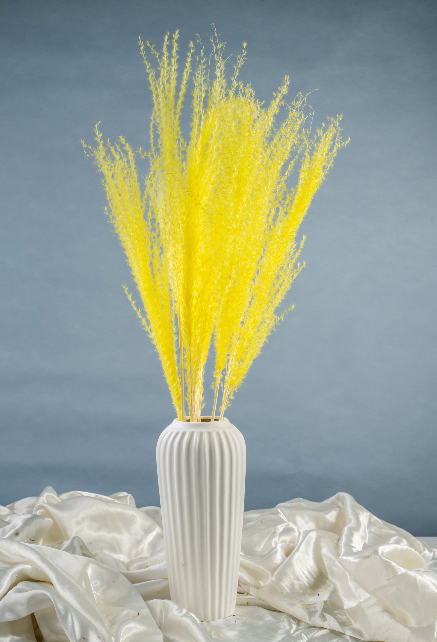 Dried Pampas Grass | Dried Reed Grass | Horsetail Whisk | Dry Florals | Flower Arrangement | Wedding Flower | Home Decor