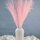 Dried Pampas Grass | Dried Reed Grass | Horsetail Whisk | Dry Florals | Flower Arrangement | Wedding Flower | Home Decor