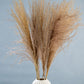 Dried Pampas Grass | Dried Reed Grass | Horsetail Whisk | Dry Florals | Flower Arrangement | Wedding Flower | Home Decor