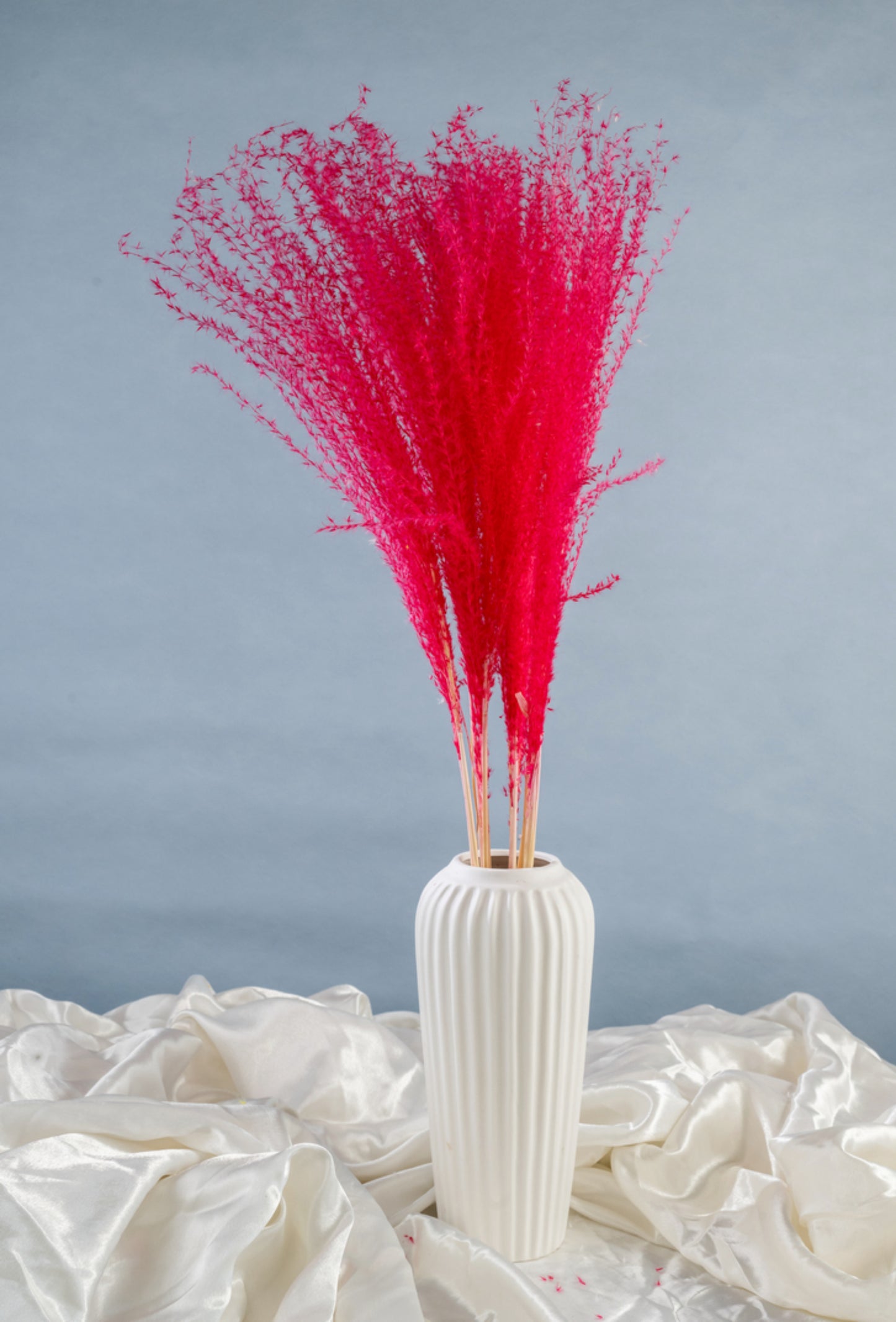 Dried Pampas Grass | Dried Reed Grass | Horsetail Whisk | Dry Florals | Flower Arrangement | Wedding Flower | Home Decor