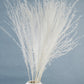 Dried Pampas Grass | Dried Reed Grass | Horsetail Whisk | Dry Florals | Flower Arrangement | Wedding Flower | Home Decor