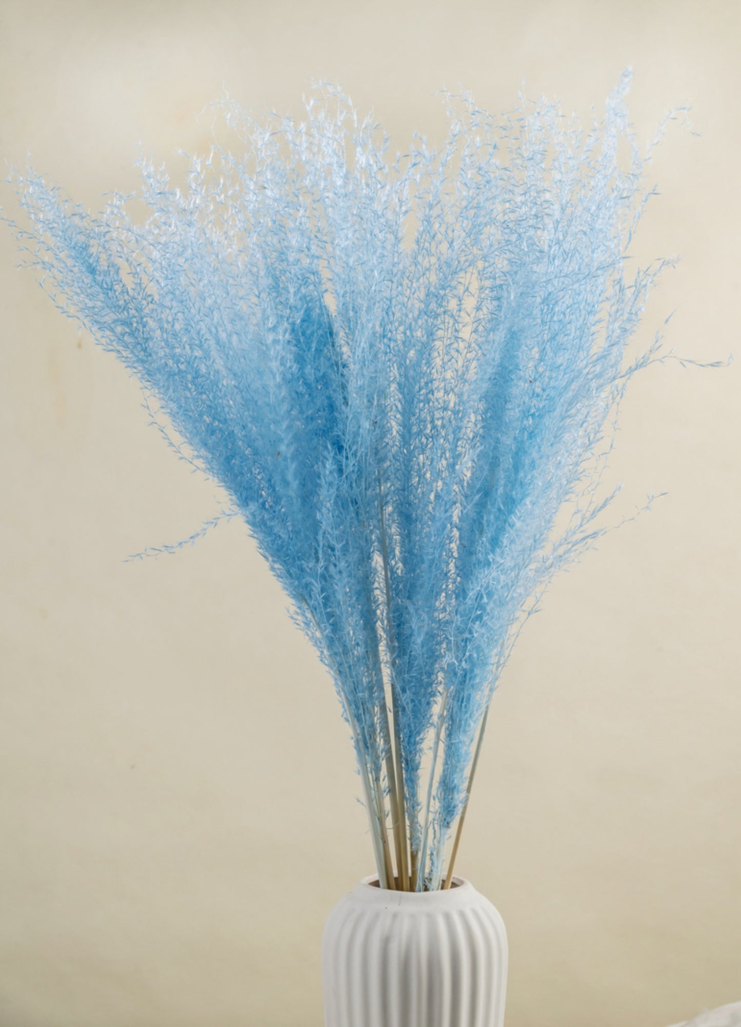 Dried Pampas Grass | Dried Reed Grass | Horsetail Whisk | Dry Florals | Flower Arrangement | Wedding Flower | Home Decor