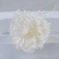 Preserved Carnation Head | Carnation Head Box | Wedding Decor | Arrangement Decor | Home DIY