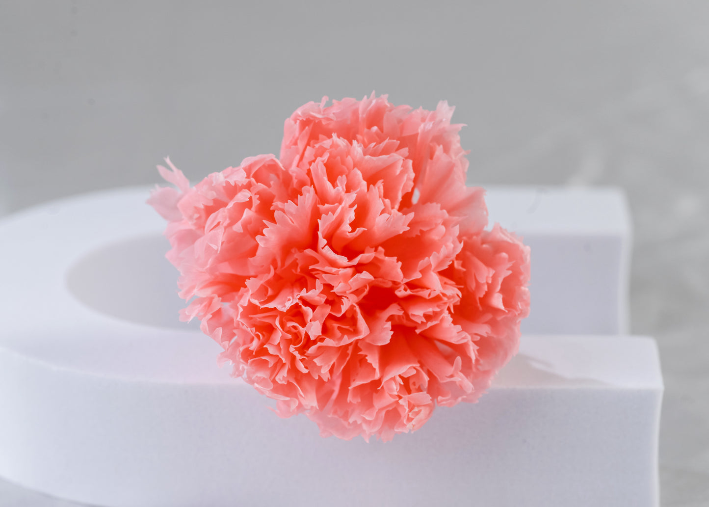 Preserved Carnation Head | Carnation Head Box | Wedding Decor | Arrangement Decor | Home DIY