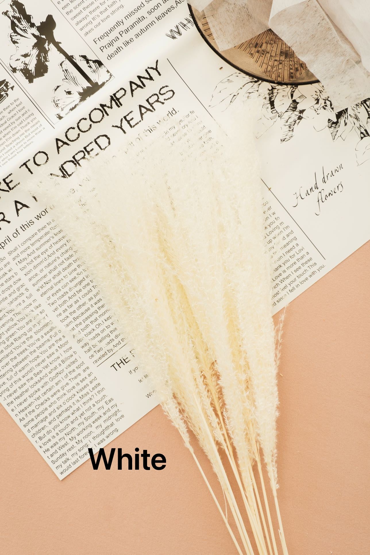 Dried Horsetail Whisk Pampas Grass -45stems| Dried Reed Pampas Grass | Nature flower Arrangements | Wedding | Office | Home | Events Decor