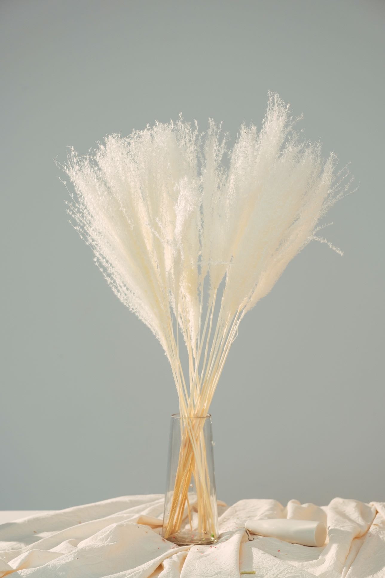 Dried Horsetail Whisk Pampas Grass -45stems| Dried Reed Pampas Grass | Nature flower Arrangements | Wedding | Office | Home | Events Decor