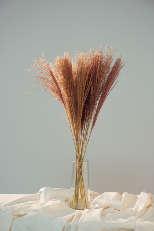 Dried Horsetail Whisk Pampas Grass -45stems| Dried Reed Pampas Grass | Nature flower Arrangements | Wedding | Office | Home | Events Decor