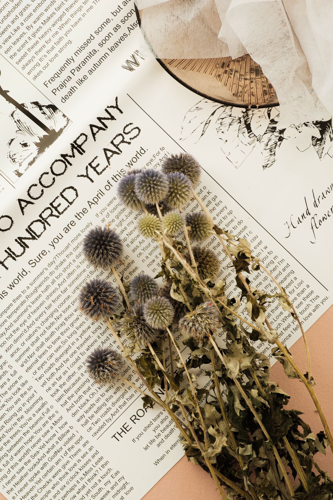 Dried Echinops Balls | Dried Echinops Globe Thistle | Preserved Nature Globe Thistle |Dusty Blue Flowers arrangement |Home | Wedding Decor