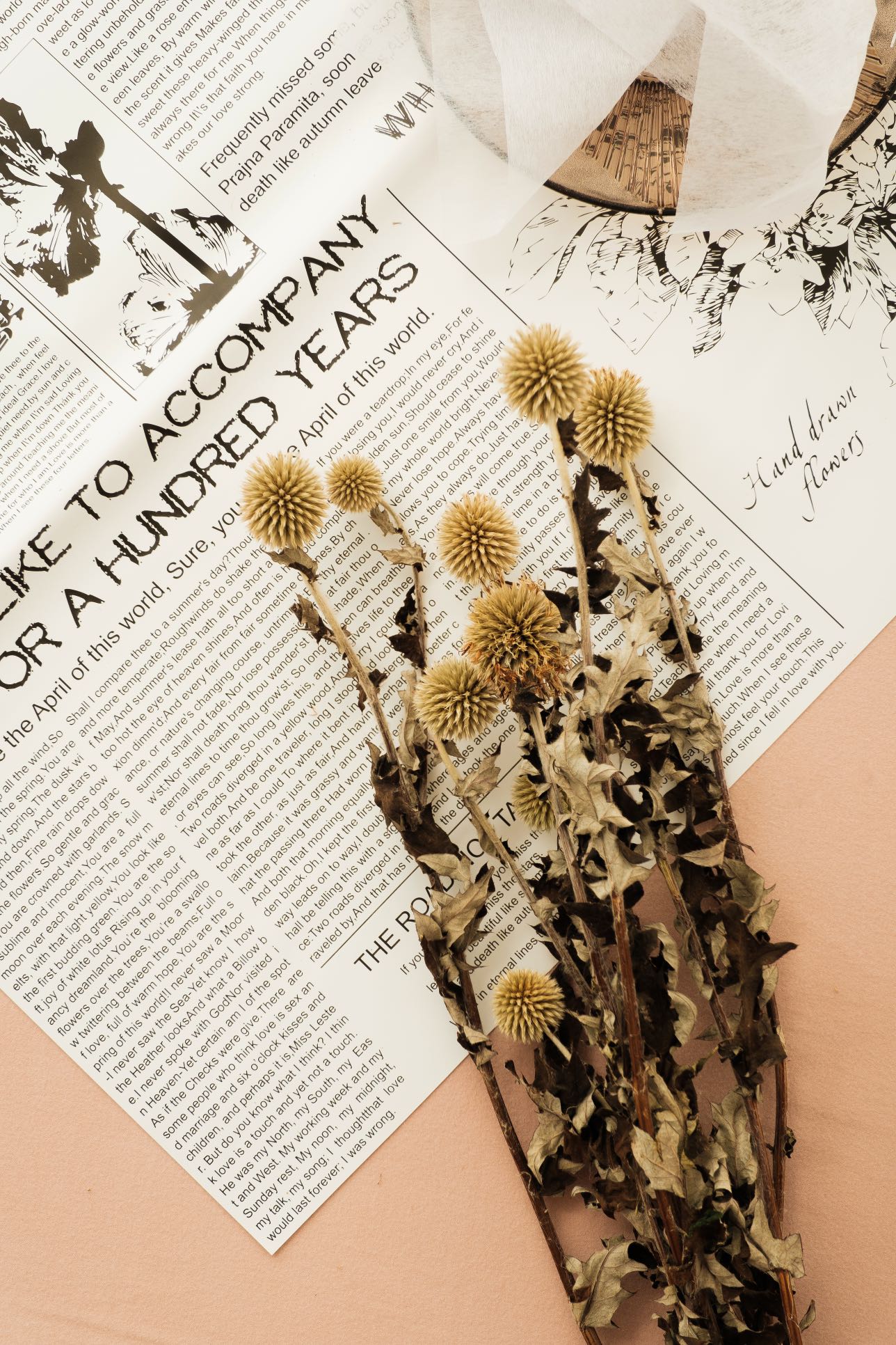 Dried Echinops Balls | Dried Echinops Globe Thistle | Preserved Nature Globe Thistle |Dusty Blue Flowers arrangement |Home | Wedding Decor