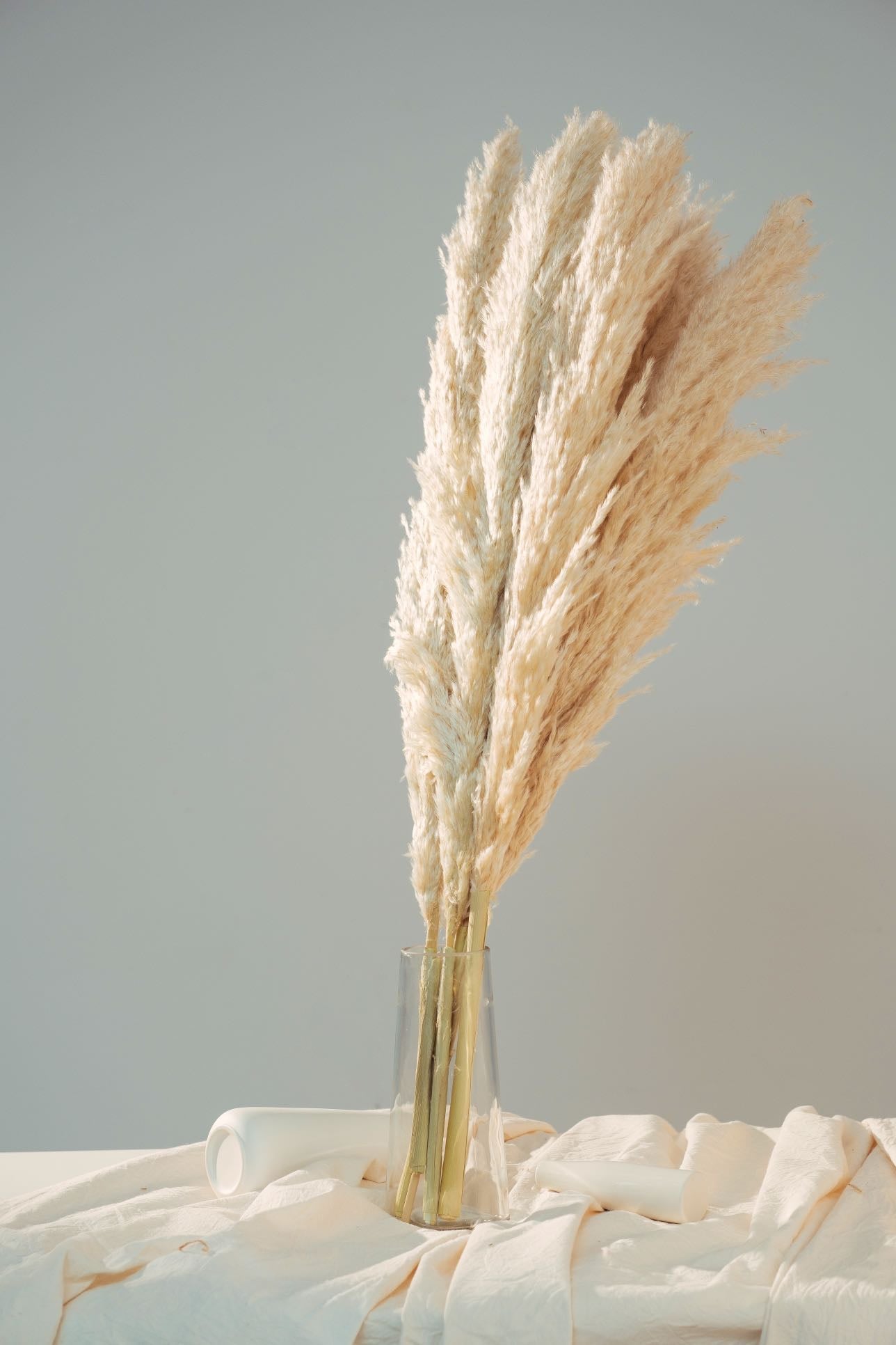 Dried XL Pampas Grass -5pcs | Fluffy Pampas Grass | Boho Wedding Decor | Home Bouquet | Party Decor