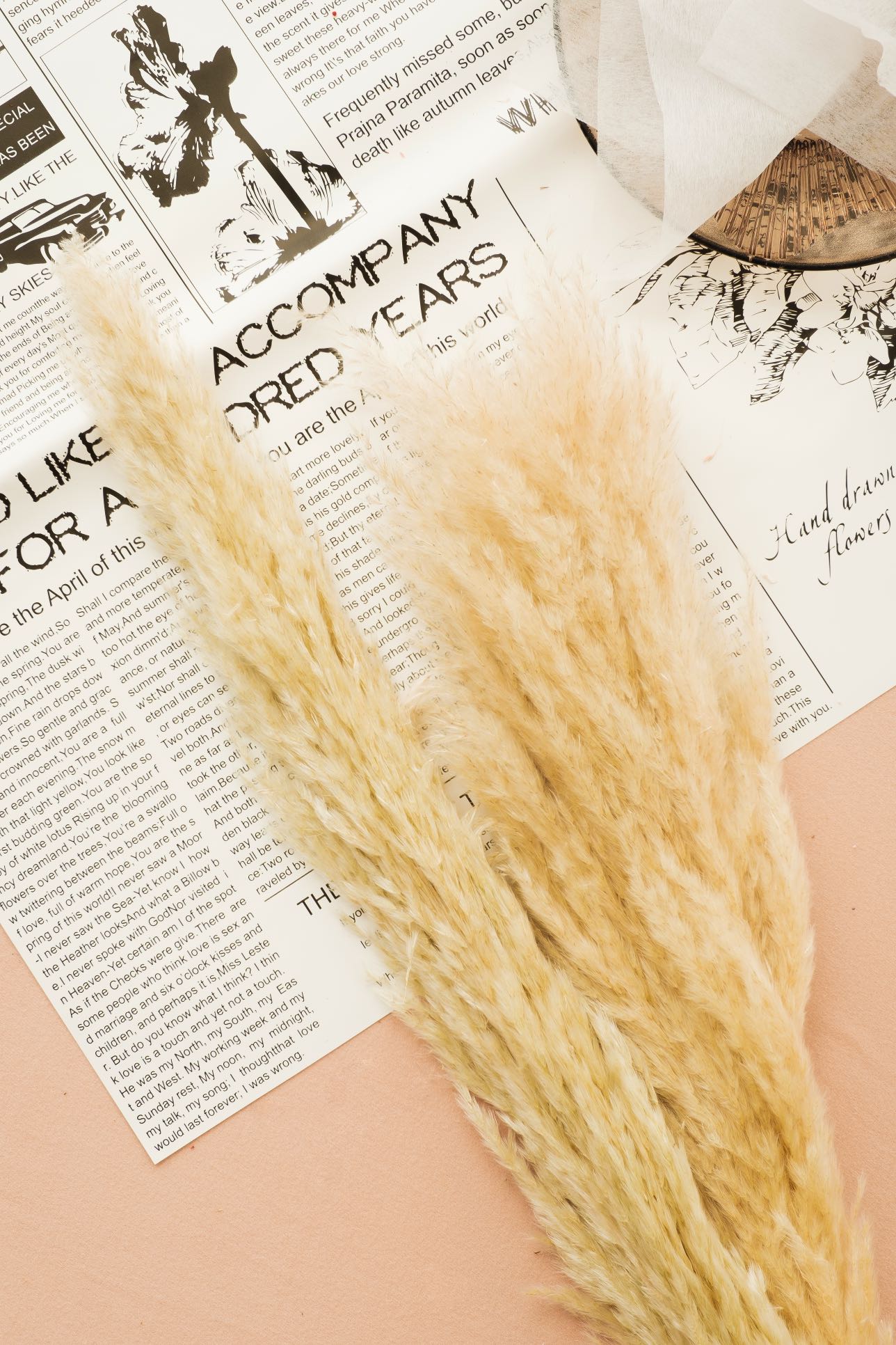 Dried XL Pampas Grass -5pcs | Fluffy Pampas Grass | Boho Wedding Decor | Home Bouquet | Party Decor