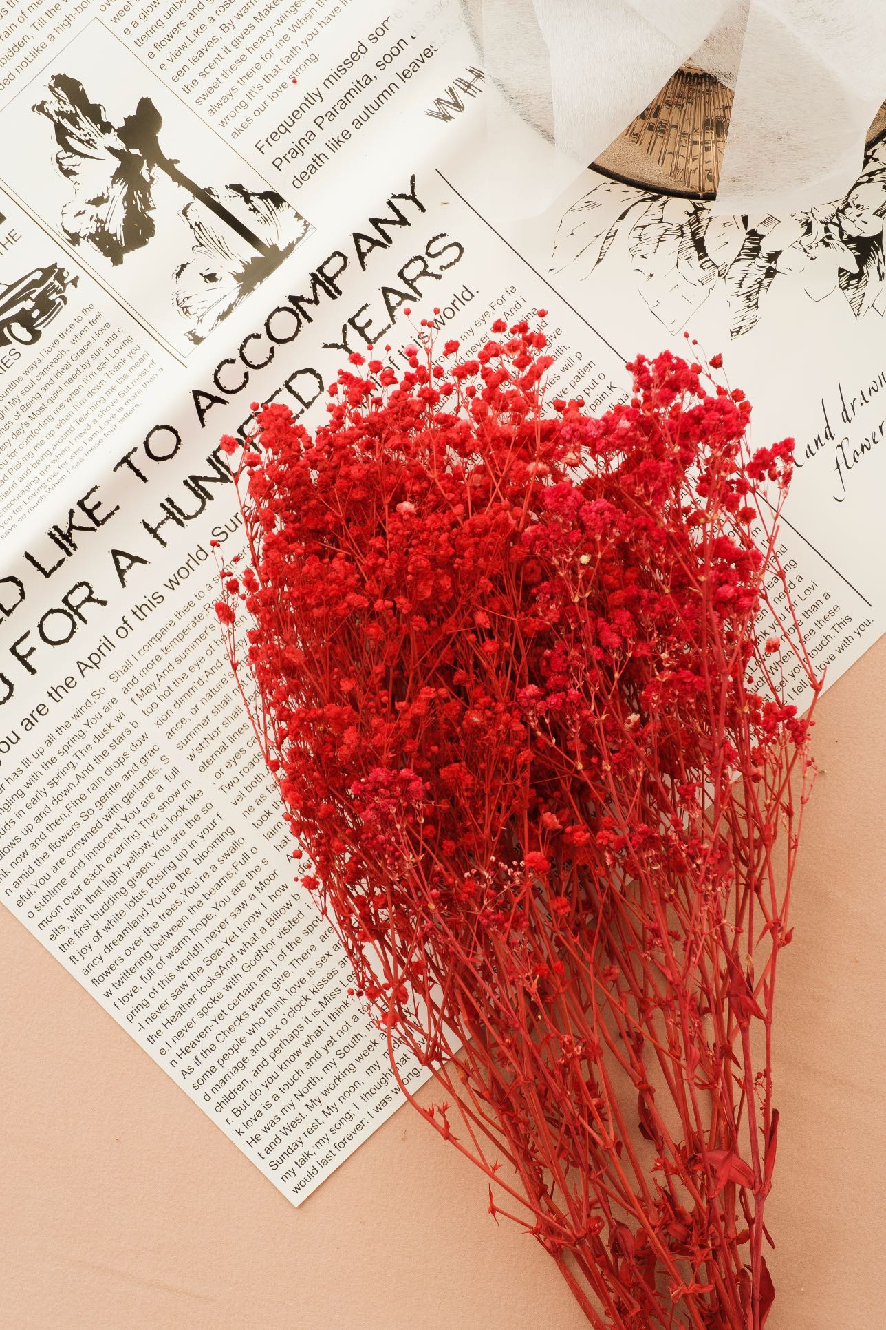 Dried Baby's Breath | Natural Gypsophila Branches| Wedding Flowers |DIY Wreath | Home Decor | Table Bouquet