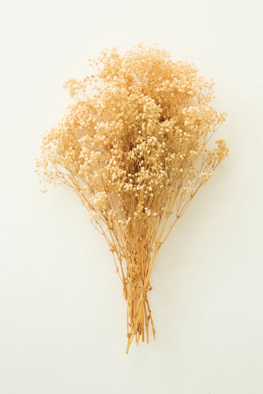 Dried Baby's Breath | Natural Gypsophila Branches| Wedding Flowers |DIY Wreath | Home Decor | Table Bouquet