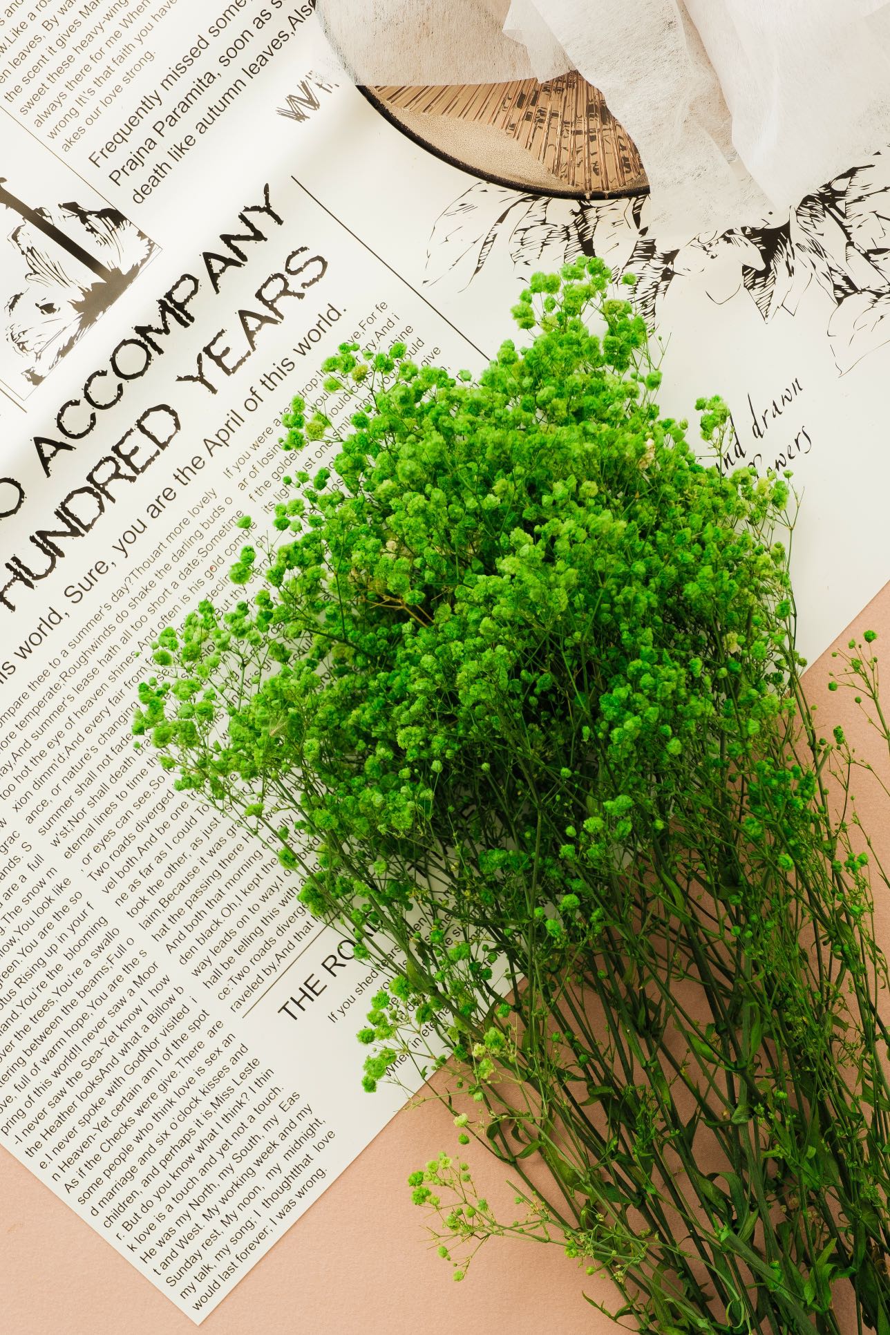 Dried Baby's Breath | Natural Gypsophila Branches| Wedding Flowers |DIY Wreath | Home Decor | Table Bouquet