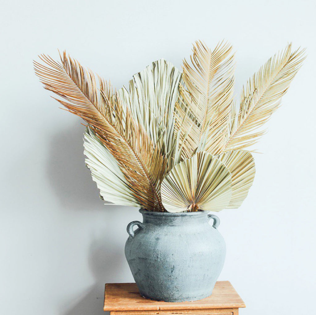 Dried Sago Palm -2 stems | Dried Palms Leaves | Preserved Palm | Palm Fronds | Wedding | Home Decor