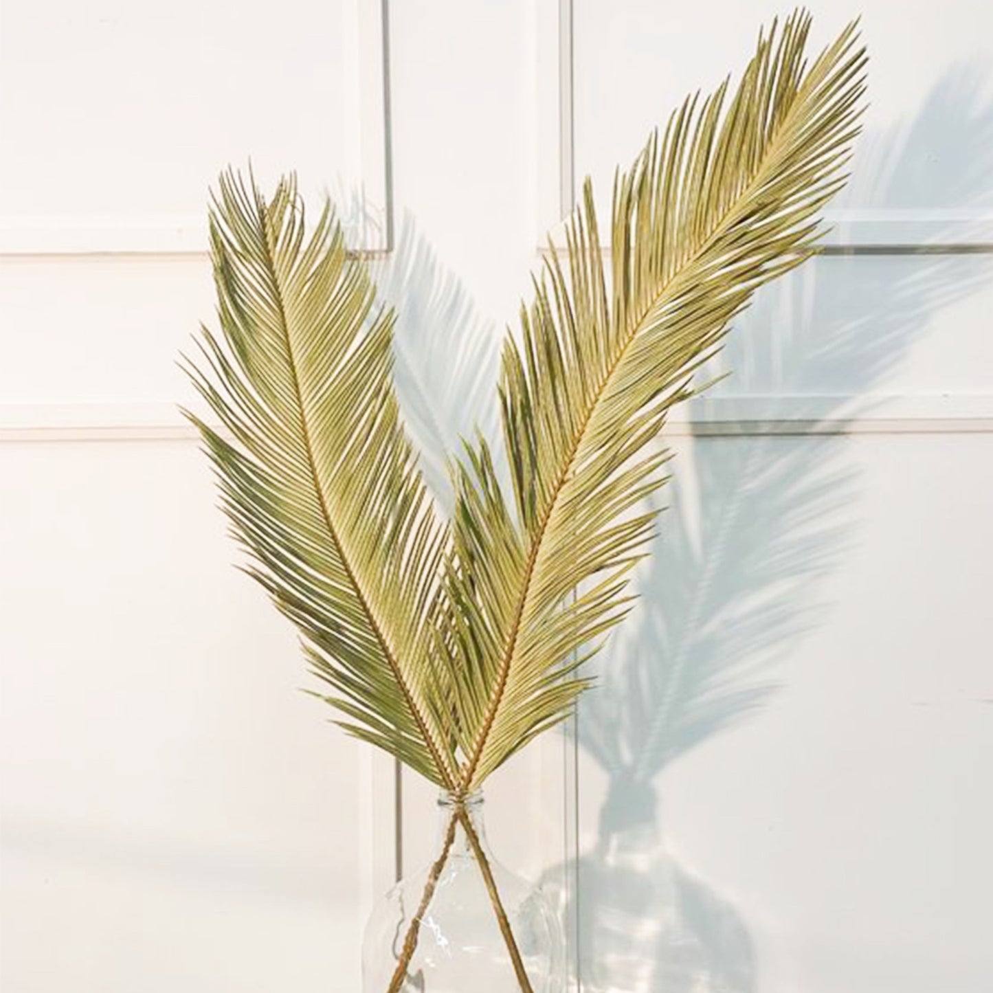 Dried Sago Palm -2 stems | Dried Palms Leaves | Preserved Palm | Palm Fronds | Wedding | Home Decor