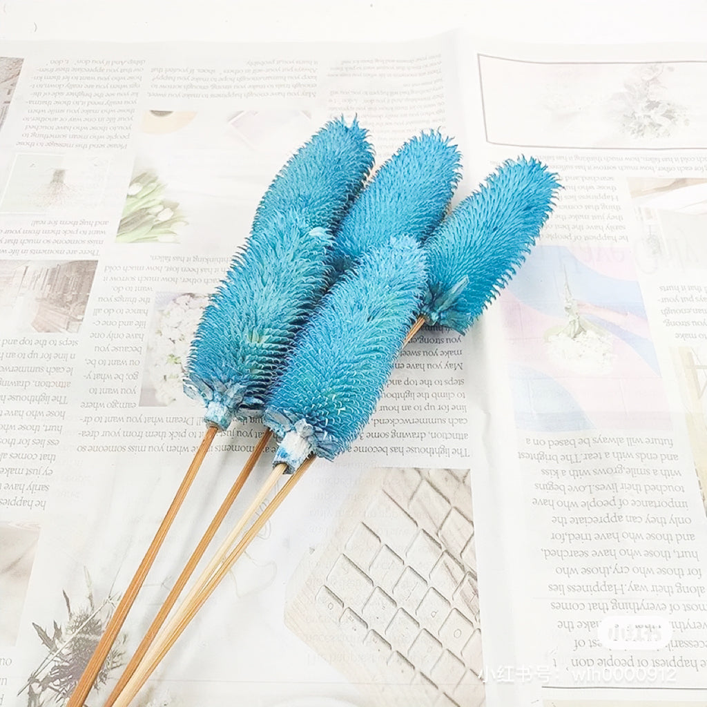 Preserved Teasels | Dried Dipsacus Sativus | Dried Dipsacus Stem |Dried Florals | Dried Bouquet | Home Decor | Flower Arrangement