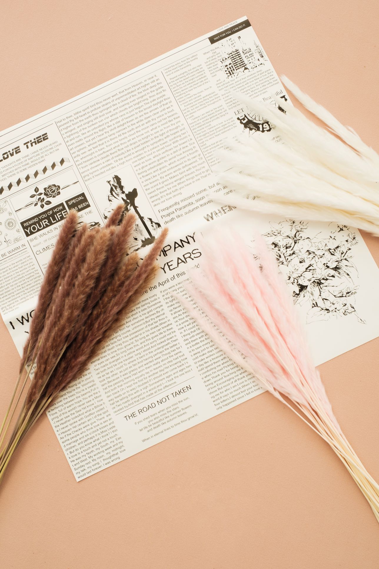 Dried Small Pampas Grass-30pcs | Colorful Small Pampas Grass | Boho Wedding Decor | Home Bouquet | Party Decor