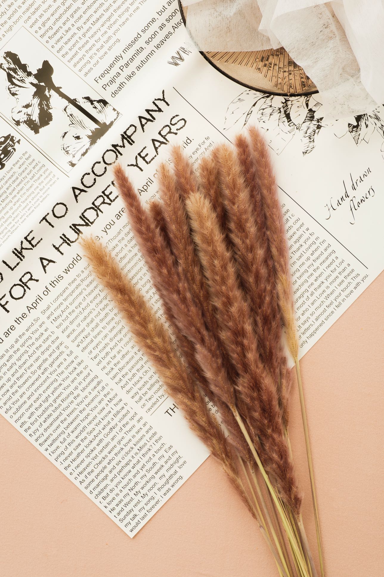 Dried Small Pampas Grass-30pcs | Colorful Small Pampas Grass | Boho Wedding Decor | Home Bouquet | Party Decor