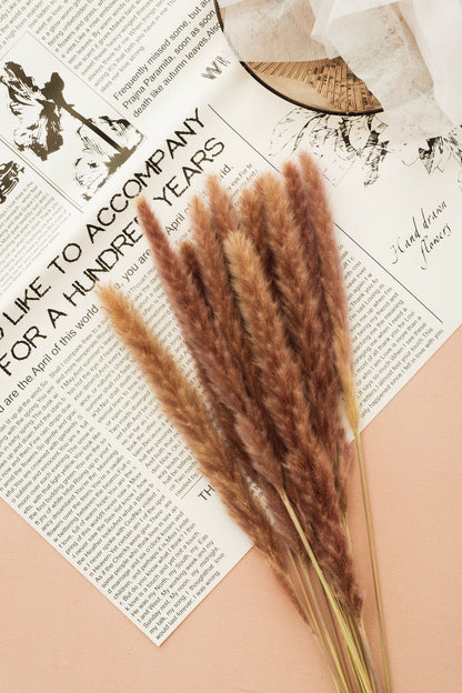 Dried Small Pampas Grass-30pcs | Colorful Small Pampas Grass | Boho Wedding Decor | Home Bouquet | Party Decor